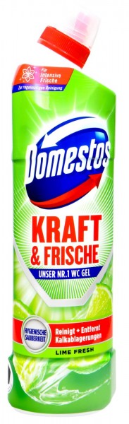Domestos Active Power Lime Fresh Toilet Cleaning Gel, 750 ml